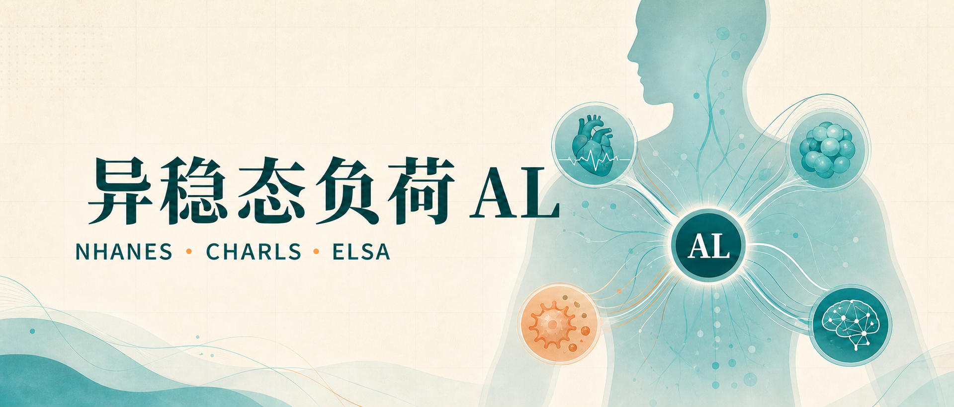 ELSA — 异稳态负荷（Allostatic Load）